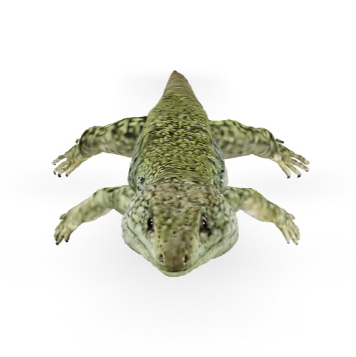 Our 3D models