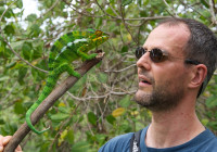 Michel with a panther chameleon (Furcifer pardalis)