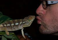 Adrien and a panther chameleon