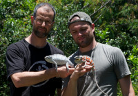 Michel, Adrien and two panther chameleons