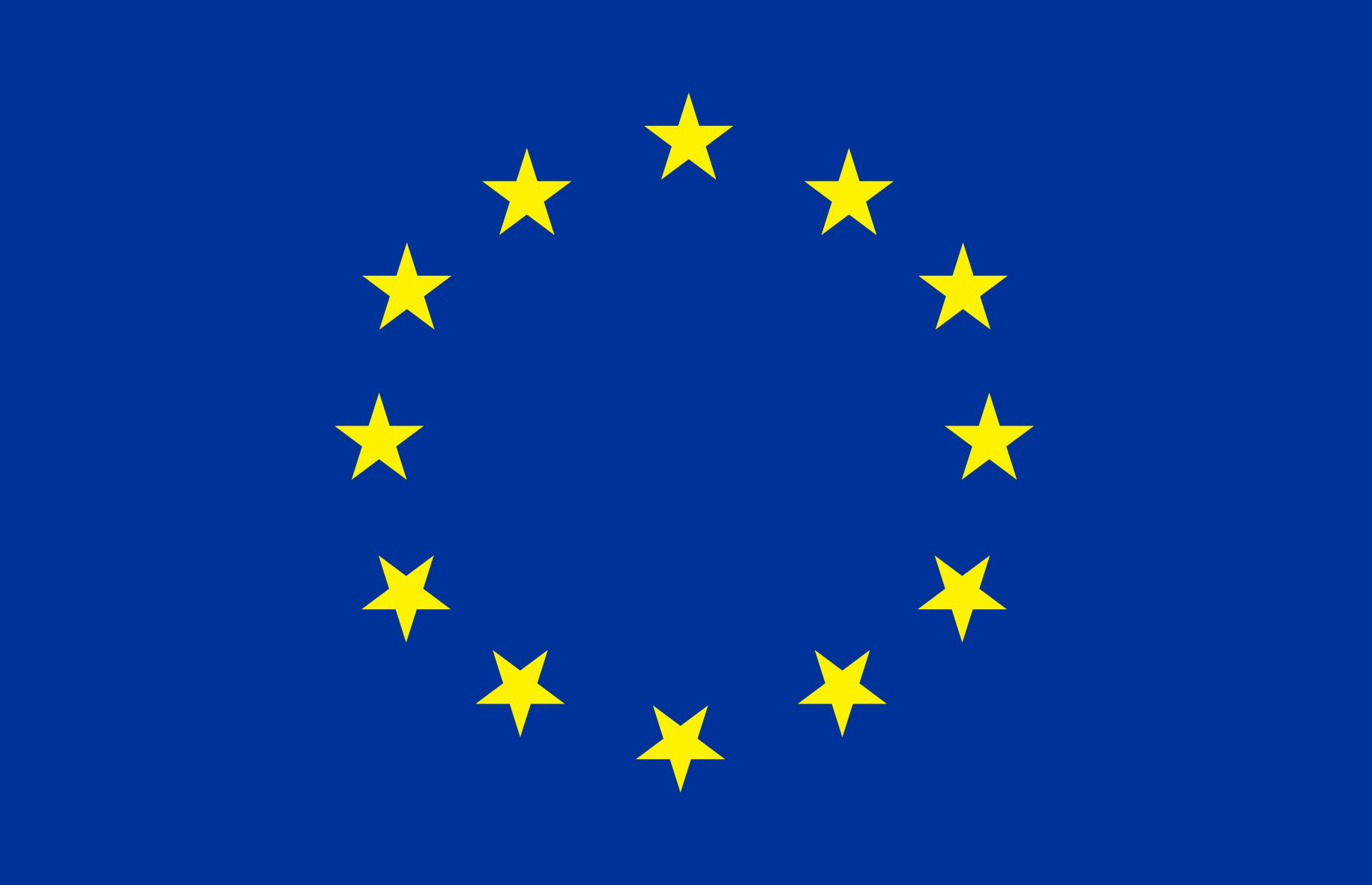 European Union Flag