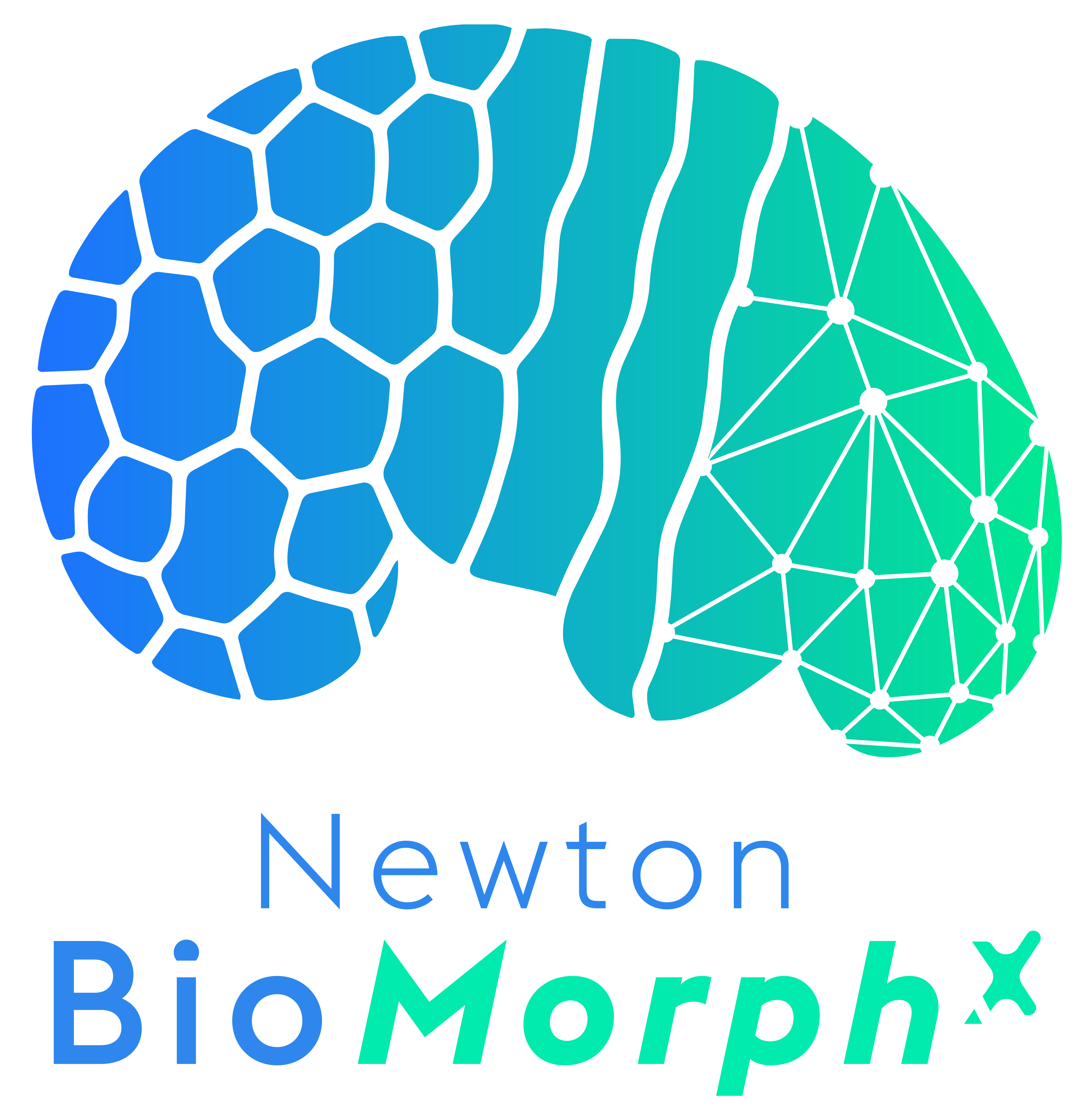 NewtonBioMorphX Logo